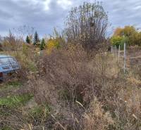 Építési telek Tardoskedden elhagyott autóval és benőtt területtel.