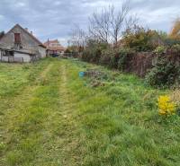 Kert gyepes területtel és régebbi épületekkel Tardoskedden, lakóterületre alkalmas.