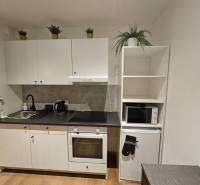 Konyha garzonlakásban fehér szekrényekkel és fa mintázatú padlóval.