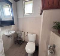 Fürdőszoba családi házban WC-vel, mosdóval, zuhanyfüggönnyel és ablakkal, növénnyel díszítve.