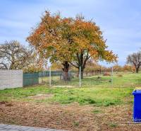 A Jaslovské Bohunice-i Orechová utcai családi ház kertje őszi fával és kerítéssel.