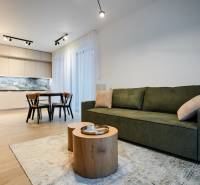 Nappali rész egy kétszobás lakásban konyhával és fa dekor padlóval, zöld kanapéval és asztallal.