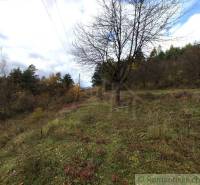 Ősz a természetes kertben Hlboké nad Váhom-ban, változatos fákkal és fűvel.