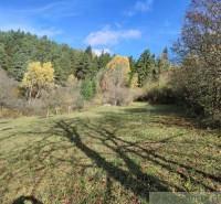 Változatos fák és zöld fű a Mélyvág melletti Kertekben a kék ég alatt.