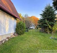 Ősz Sološnicánál a ház mellett, zölddel és tűlevelűekkel körülvéve.