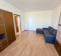 Nappali egy egyszobás lakásban, fa dekor padlóval, kanapéval és szekrényekkel.