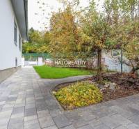 Járda és kert a családi ház körül Domanižában, gazdag növényzettel.