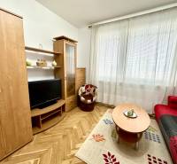 Garzonlakás televízióval, piros kanapéval és fa dekorációjú padlóval.