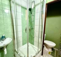 Fürdőszoba garzonlakásban sarok zuhanyzóval, mosdóval és fehér csempékkel.