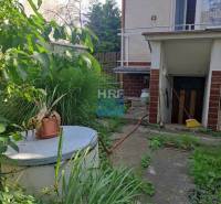 A Radošovce-i Vieska családi házának kertje pavilonnal és buja növényzettel.