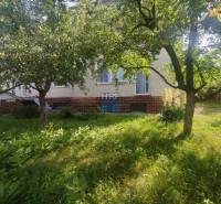 Kert a családi ház mellett a Vieska utcában, Radošovce. Zöld fű és fák.