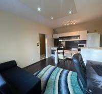 1 szobás lakás belső tere konyhasarokkal és fa dekorációjú padlóval.