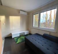 Szoba egy egyszobás lakásban kanapéval, zöld szőnyeggel és fa dekorációjú padlóval.