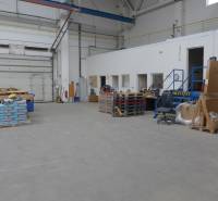 Egy raktár belseje magas mennyezettel, összecsukható kapukkal és különféle árukkal raklapokon.