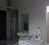 Fürdőszoba mosógéppel, zuhanyzóval és mosószerekkel.