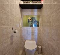 Csempefalú WC papagájképpel és polcokkal egy háromszobás lakásban.