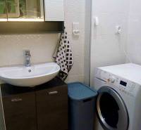 Fürdőszoba egy egyszobás lakásban tükörszekrénnyel, mosdóval és mosógéppel.