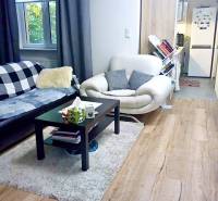 Nappali egy egyszobás lakásban fa dekor padlóval és kényelmes ülőhellyel.