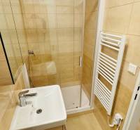 Fürdőszoba csempézett burkolattal, zuhanyzóval és mosdóval egy egyszobás lakásban.