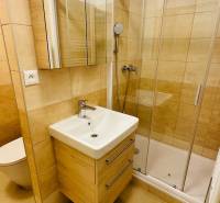 Fürdőszoba mosdóval, zuhanyzóval és csempével egy egyszobás lakásban.