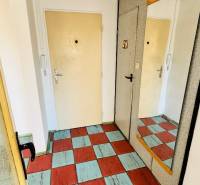 Előszoba egy egyszobás lakásban színes padlóval és tükörrel a falon.