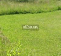 Zöld telek Dulová Ves-ben, lakhatásra alkalmas, természettel körülvéve.