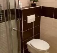 Fürdőszoba zuhanyzóval, függesztett WC-vel és növénnyel a garzonlakásban.