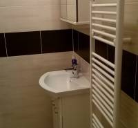 Garzonlakás fürdőszobája mosdóval, tükrös szekrénnyel és létrás radiátorral.