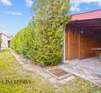 Kerti pavilon a családi ház mögött Bátorkeszin, fenyőfákkal körülvéve.