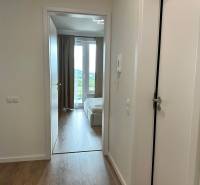 chodba Bory prenájom