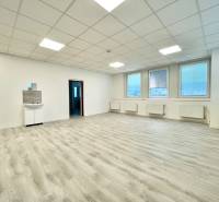 Nagy iroda fa dekor padlóval és mosdóval.