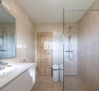 Fürdőszoba kerámia burkolattal, zuhanyzóval és tükörrel egy családi házban.