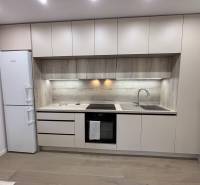 Konyhapult fa dekorral és beépített készülékekkel egy 2 szobás lakásban.