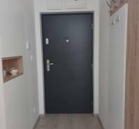 Előszoba szürke ajtókkal, fa hatású padlóval és fogassal, 2 szobás lakás.