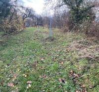 Kert fűvel és lehullott levelekkel egy családi ház mellett a Fő utcán, Felsőremetén.