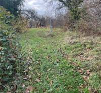 Kert füves ösvénnyel a családi háznál a Fő utcán Felsőremetén.