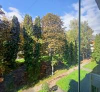 Kilátás a zöld fákra egy kétszobás lakásból a Severná utcában, Martinban.