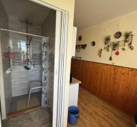 Fürdőszoba zuhanyzóval és fa dekorációjú padlóval egy háromszobás lakásban.