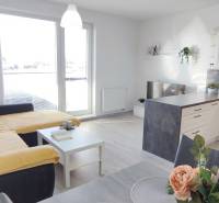 Kétszobás lakás belső tere konyhával, kanapéval és fa dekorációjú padlóval.