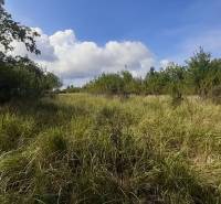 Fásított rekreációs telkek fákkal körülvéve Felső Jablonócban, Jablonóc, kék ég alatt.