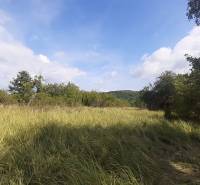 Fásított telek a Jabloňovce Üdülőterületen, Felső Jabloňovce, fákkal körülvéve.