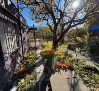 Kertek a Közép utcában, Pozsony – Ruzsinov, járdával és fákkal.