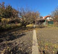 Őszi kert a Közép utcában, Pozsony-Ružinovban, sétánnyal és fákkal.