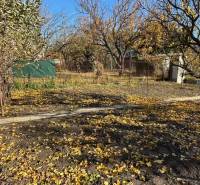 Őszi kert Pozsony-Ružinovban, közepes méretű, lehullott levelekkel és fákkal.