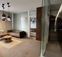 Irodák kanapékkal és dohányzóasztallal, fa mintázatú padló, üveg válaszfalak.