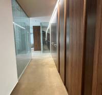 Irodák folyosója üveg válaszfalakkal, fa dekoros padlóval.