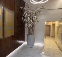 Irodák száraz virágokkal teli vázával, fa dekorációkkal és érdekes világítással a bejárat felett.