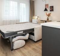 Szoba kinyitható kanapéval, fa dekorációjú padló, világos függönyök, 1 szobás lakás.