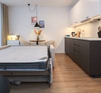 1 szobás lakás belső tere konyhabútorral, kanapéval és fa dekorációjú padlóval.