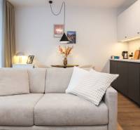 Nappali rész kanapéval és konyhasarokkal egy egyszobás lakásban, fa mintázatú padlóval.